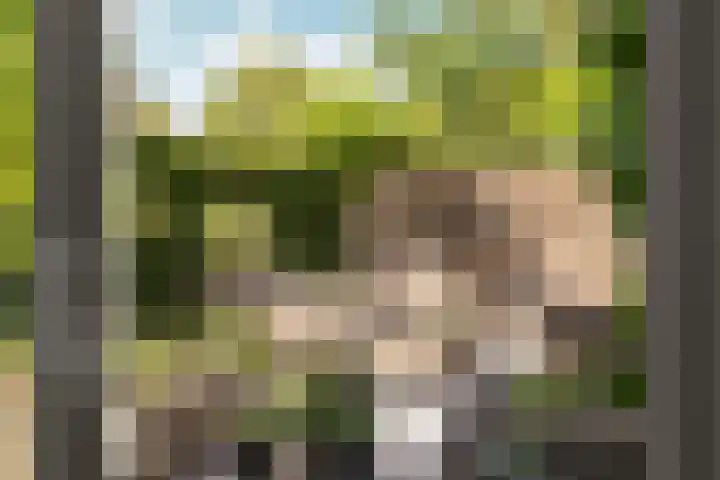 Schutstal 35 Zevenaar thumbnail 42