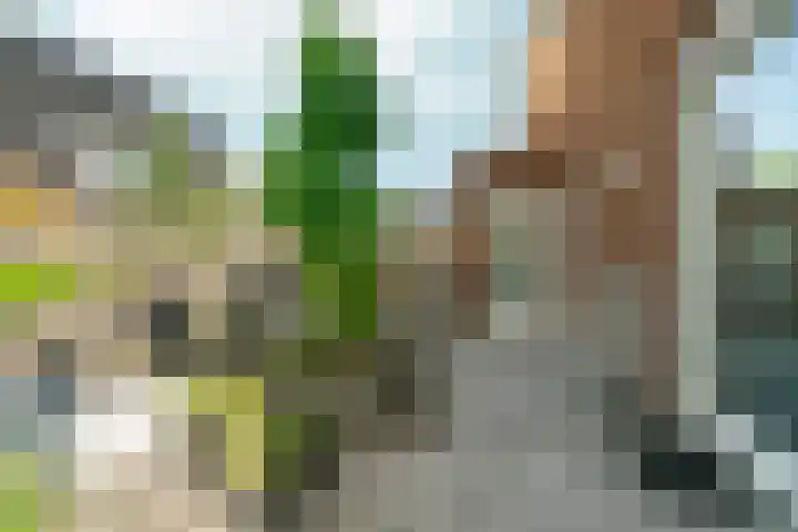 Schutstal 35 Zevenaar thumbnail 44