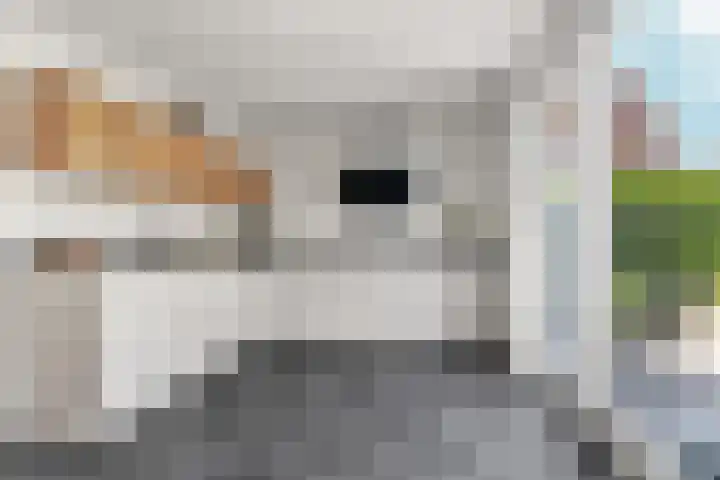 Schutstal 35 Zevenaar thumbnail 5