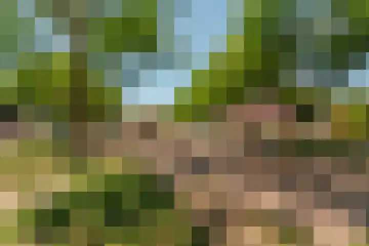 Schutstal 35 Zevenaar thumbnail 54