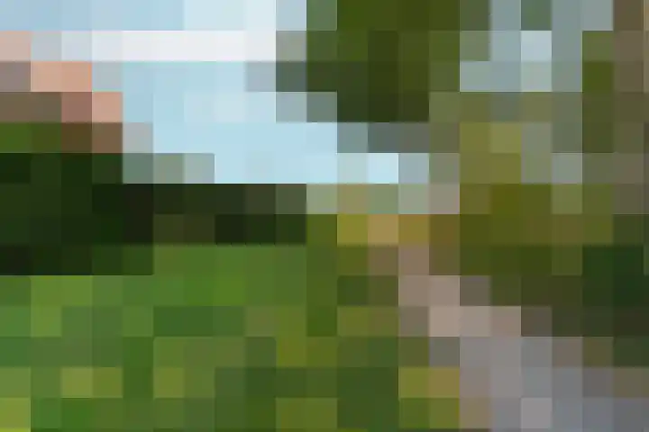 Schutstal 35 Zevenaar thumbnail 55