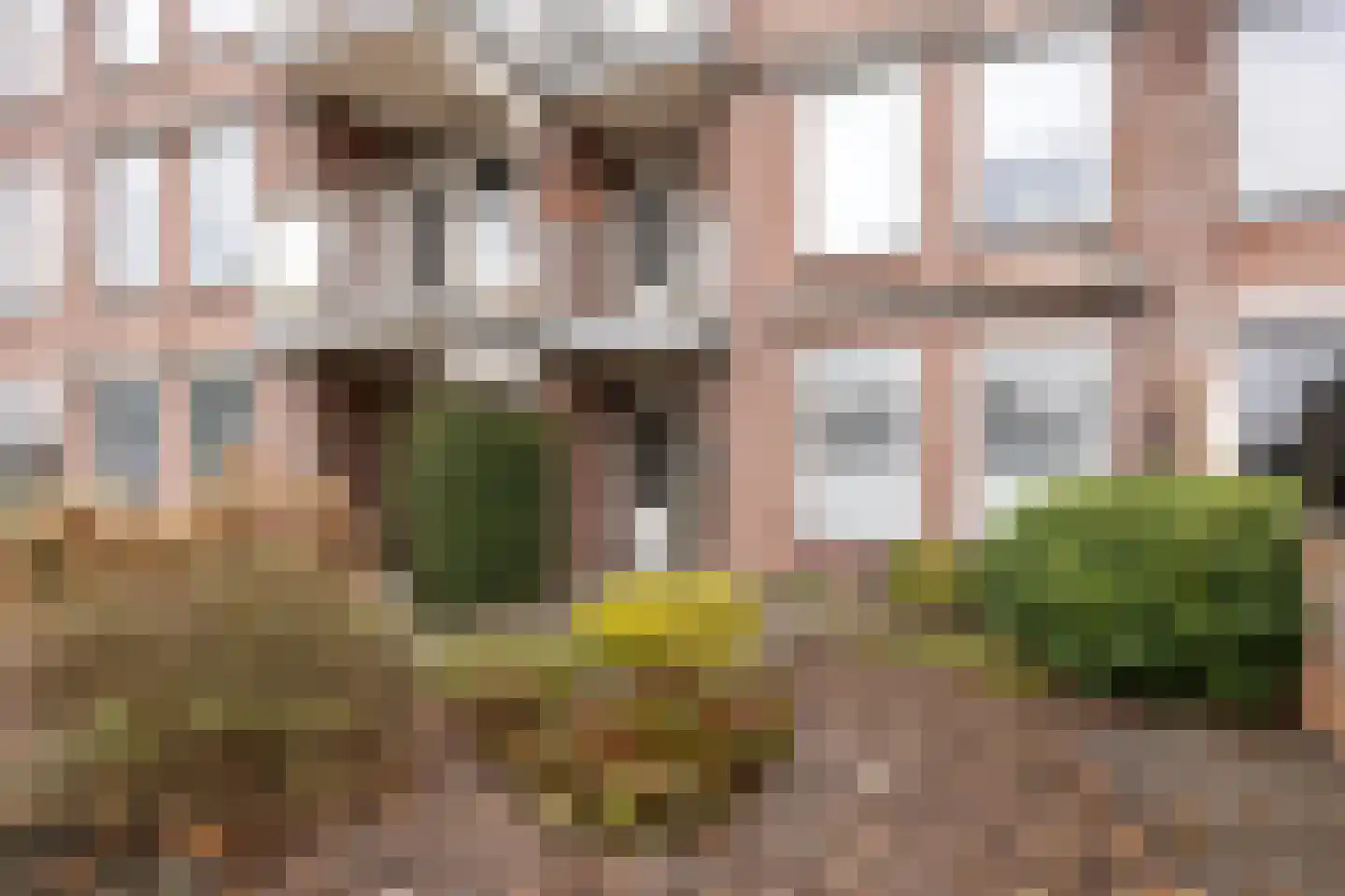 Schutstraat 105 Hoogeveen