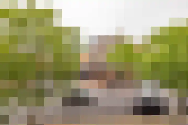 Schutstraat 11 14 Hoogeveen thumbnail 16