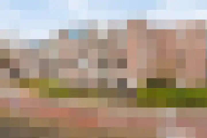 Schutstraat 111 Hoogeveen thumbnail 30
