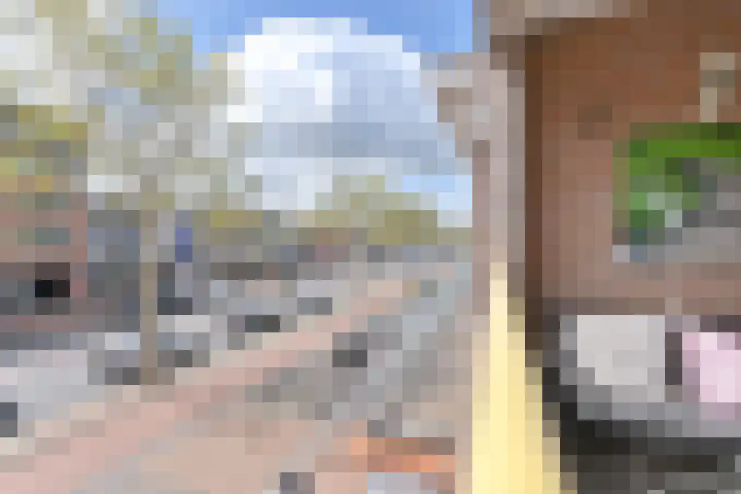 Schutstraat 12 11 Hoogeveen thumbnail 29