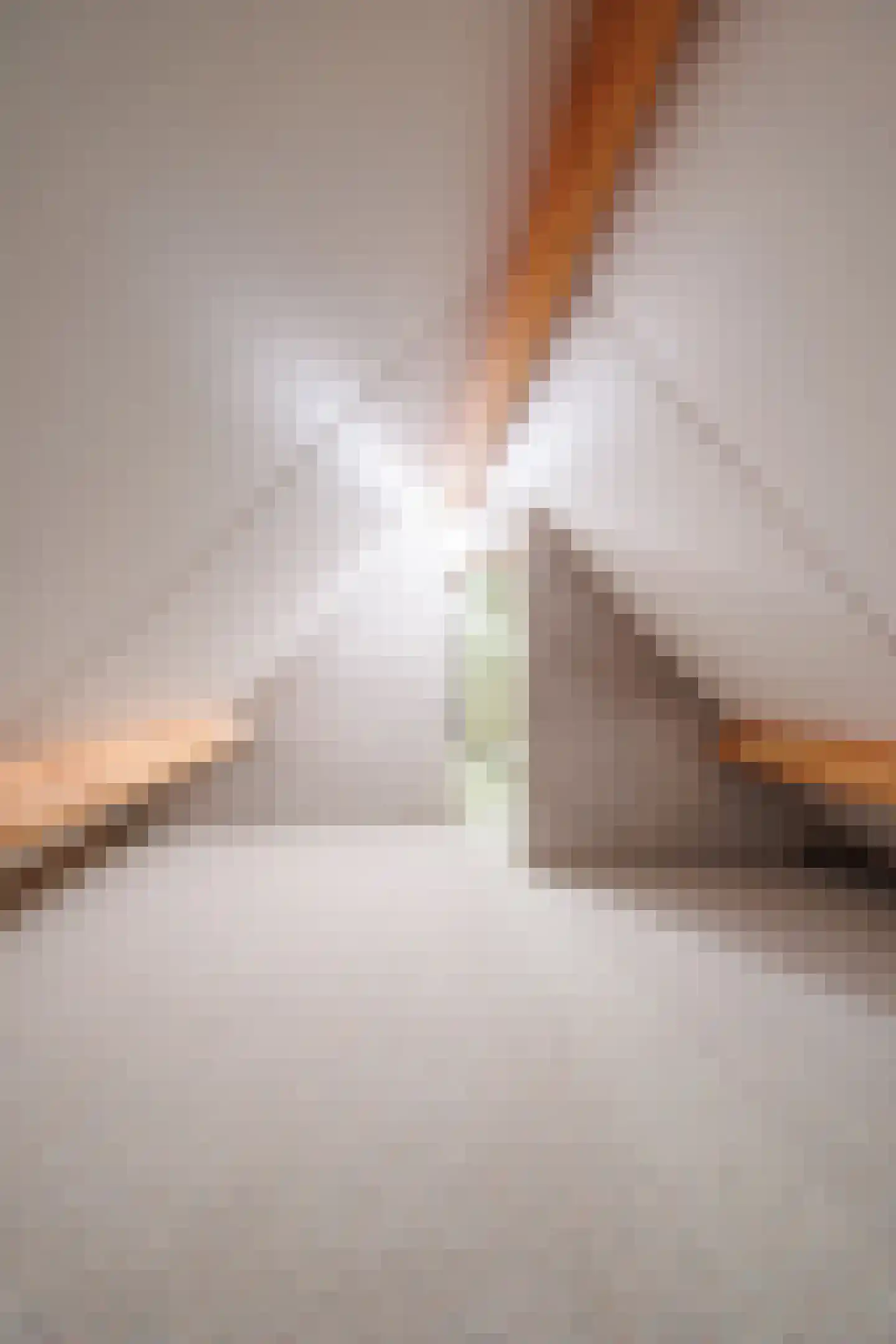 Schutstraat 15 Alphen thumbnail 40