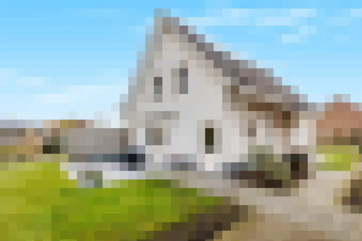 Schutstraat 15 Alphen thumbnail 45