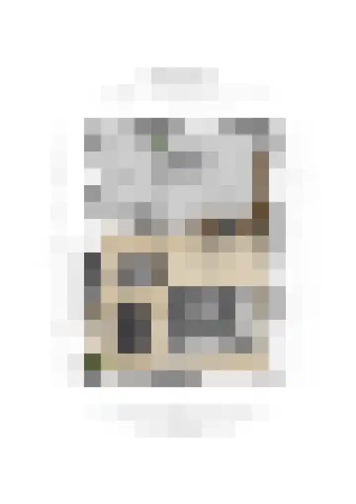 Schutstraat 15 Alphen thumbnail 59