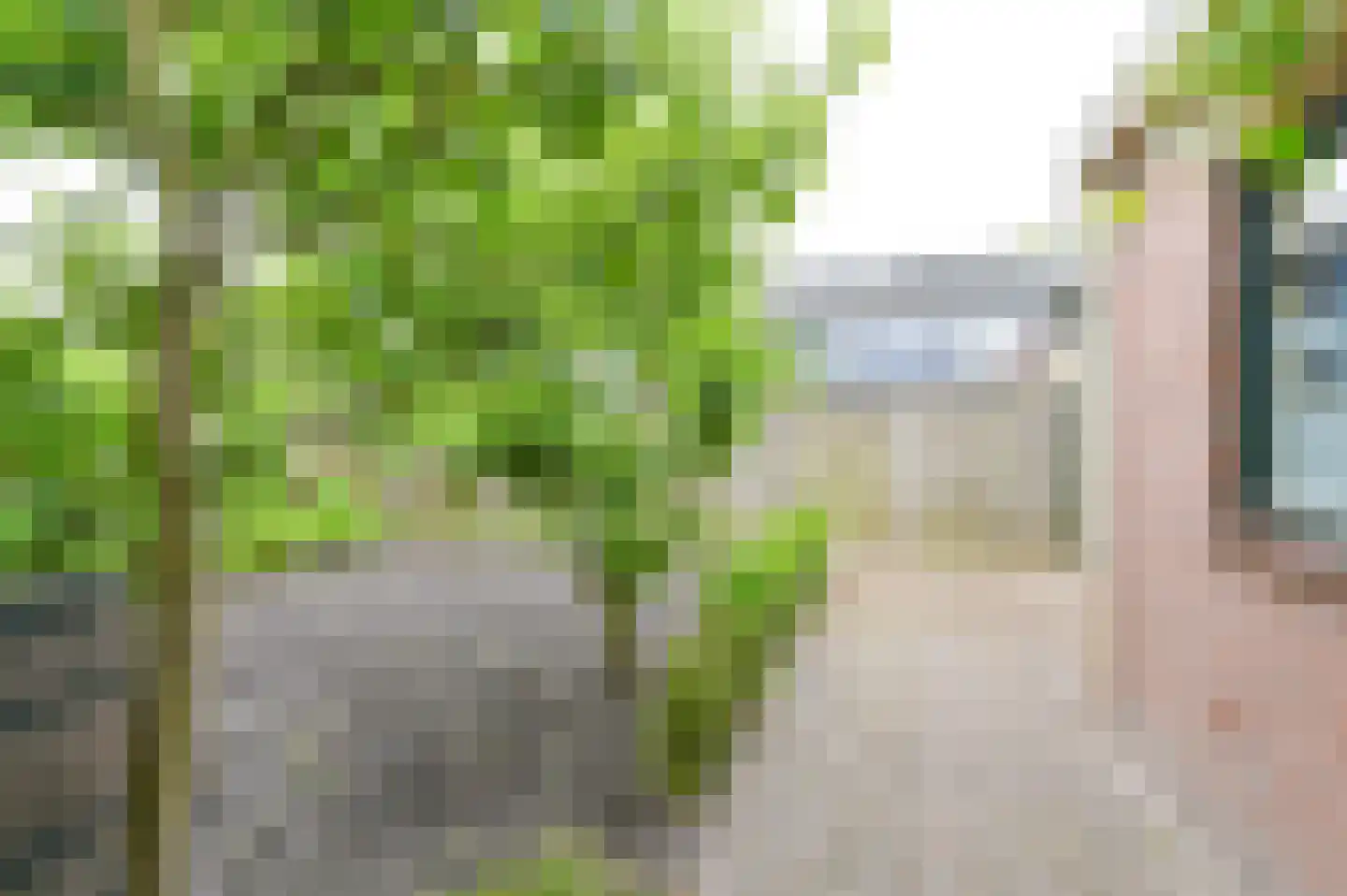 Schutstraat 151 Hoogeveen thumbnail 34