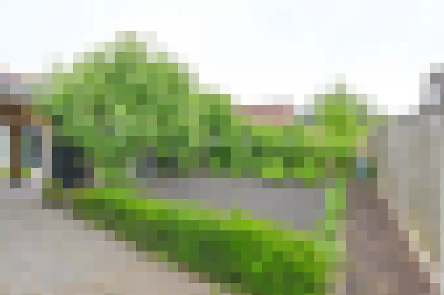 Schutstraat 151 Hoogeveen thumbnail 35