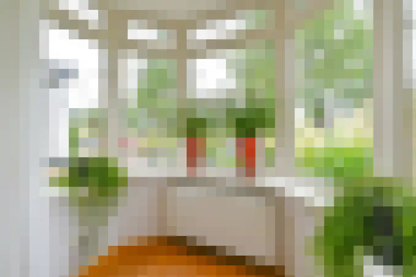 Schutstraat 151 Hoogeveen thumbnail 7