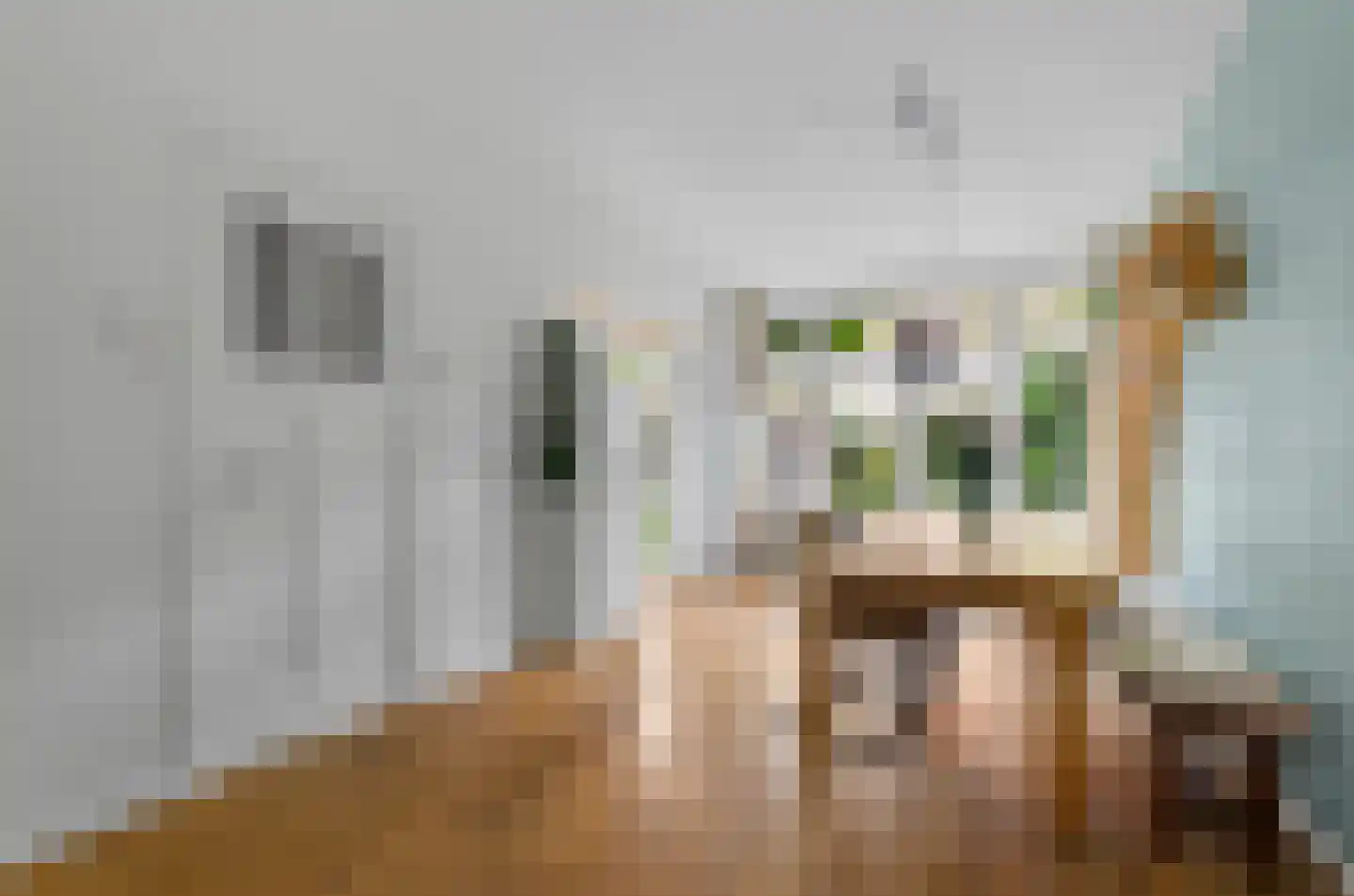 Schutstraat 154 Utrecht thumbnail 15