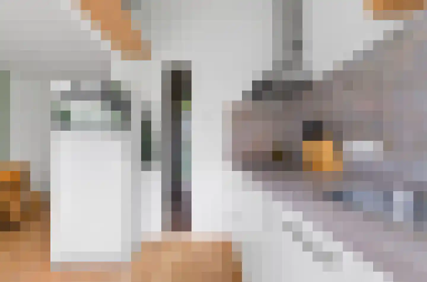Schutstraat 154 Utrecht thumbnail 20