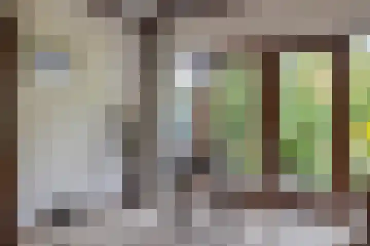 Schutstraat 3 Lithoijen thumbnail 12