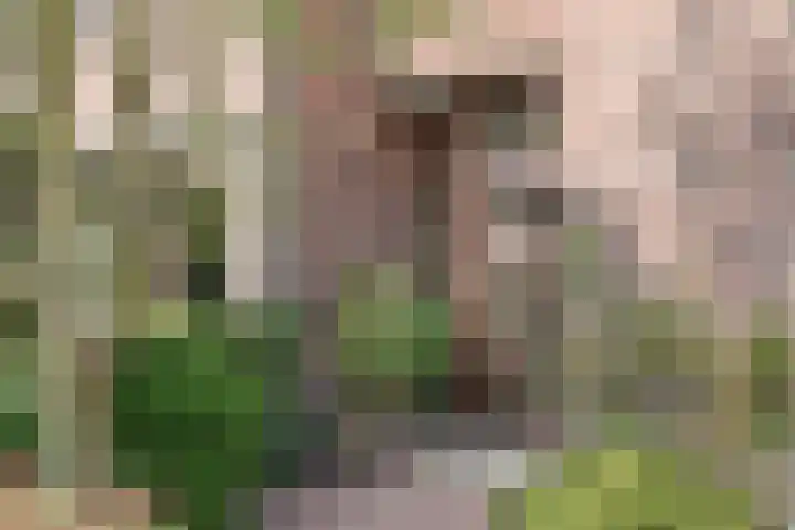 Schutstraat 3 Lithoijen thumbnail 4