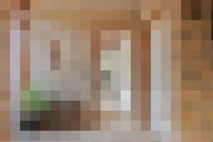Schutstraat 3 Lithoijen thumbnail 6