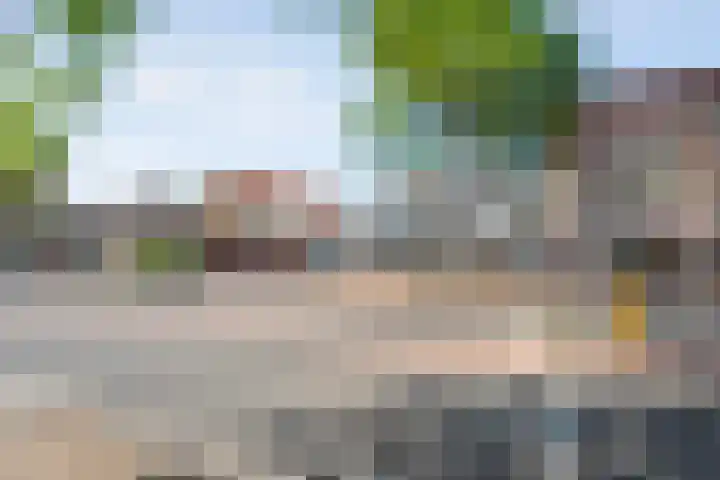 Schutstraat 31 Hoogeveen thumbnail 27