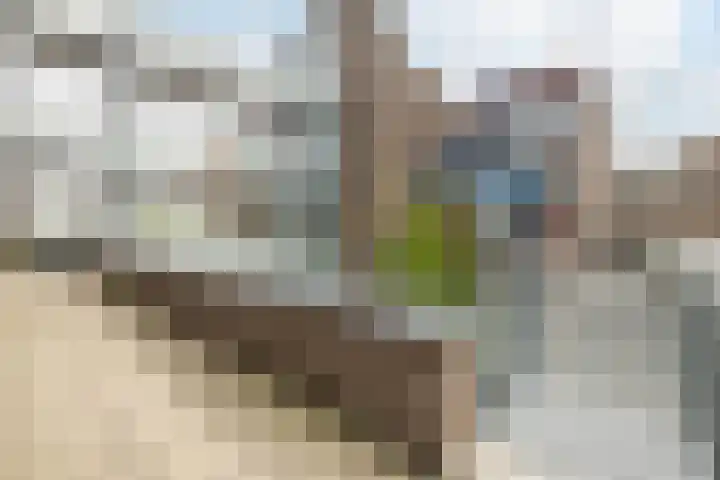 Schutstraat 32 13 Hoogeveen thumbnail 16