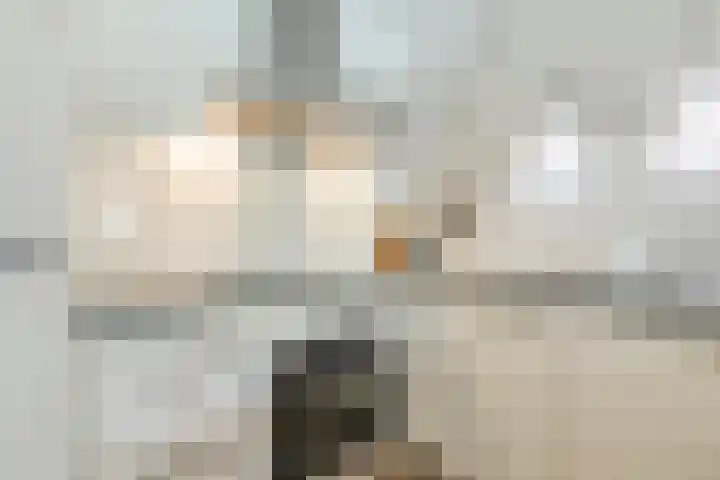 Schutstraat 32 13 Hoogeveen thumbnail 36