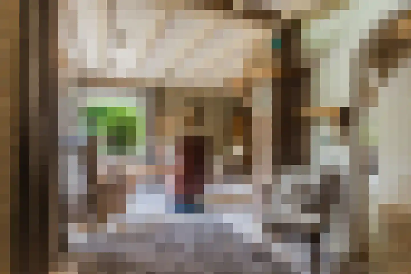 Schutstraat 5 Lithoijen thumbnail 10