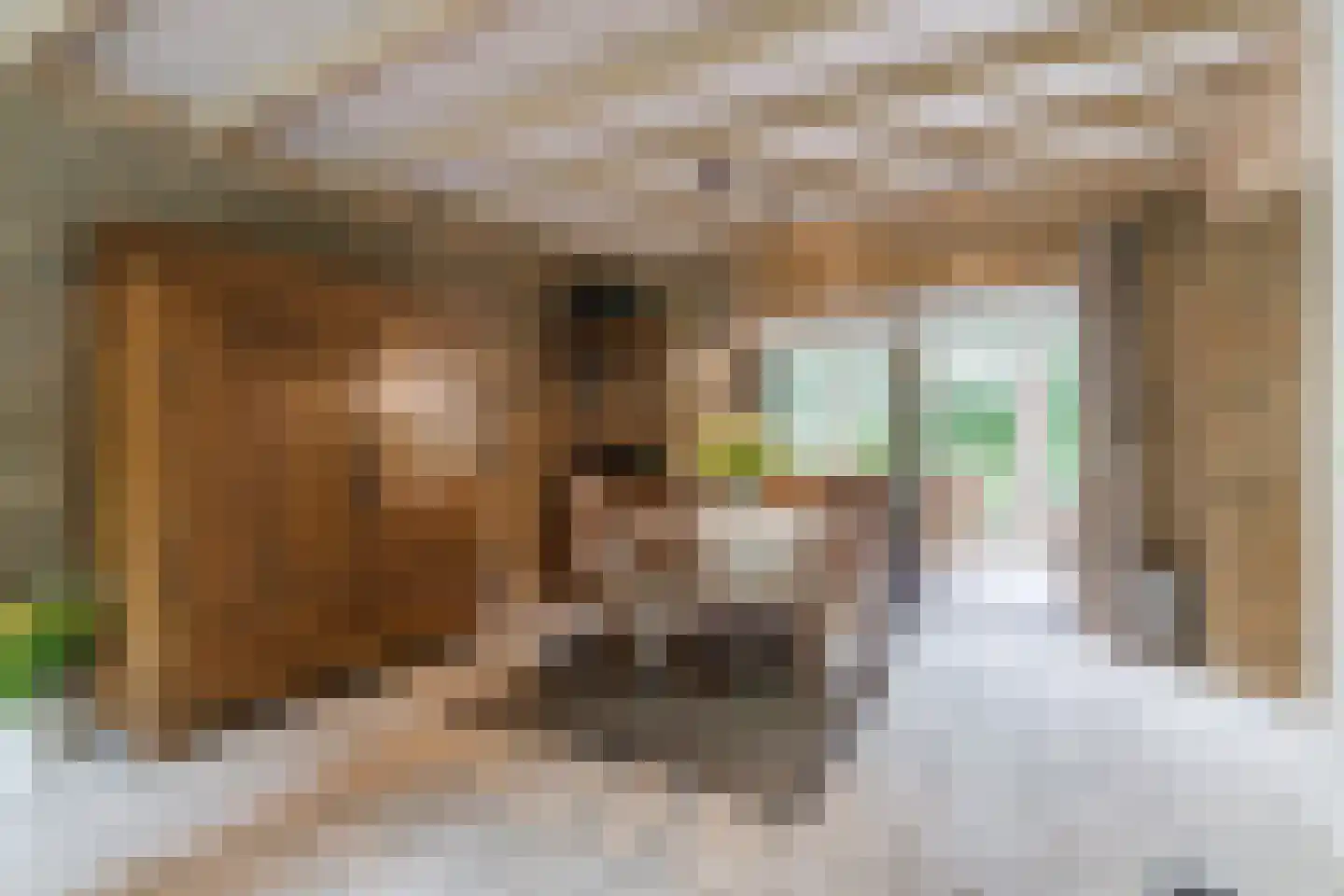 Schutstraat 5 Lithoijen thumbnail 11