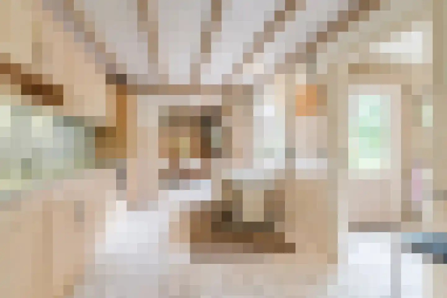 Schutstraat 5 Lithoijen thumbnail 17