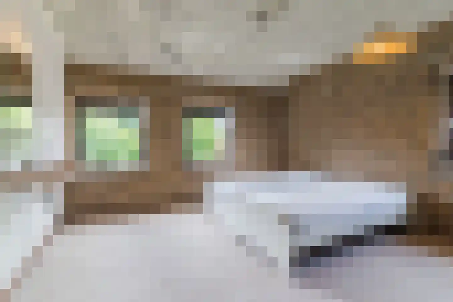 Schutstraat 5 Lithoijen thumbnail 24