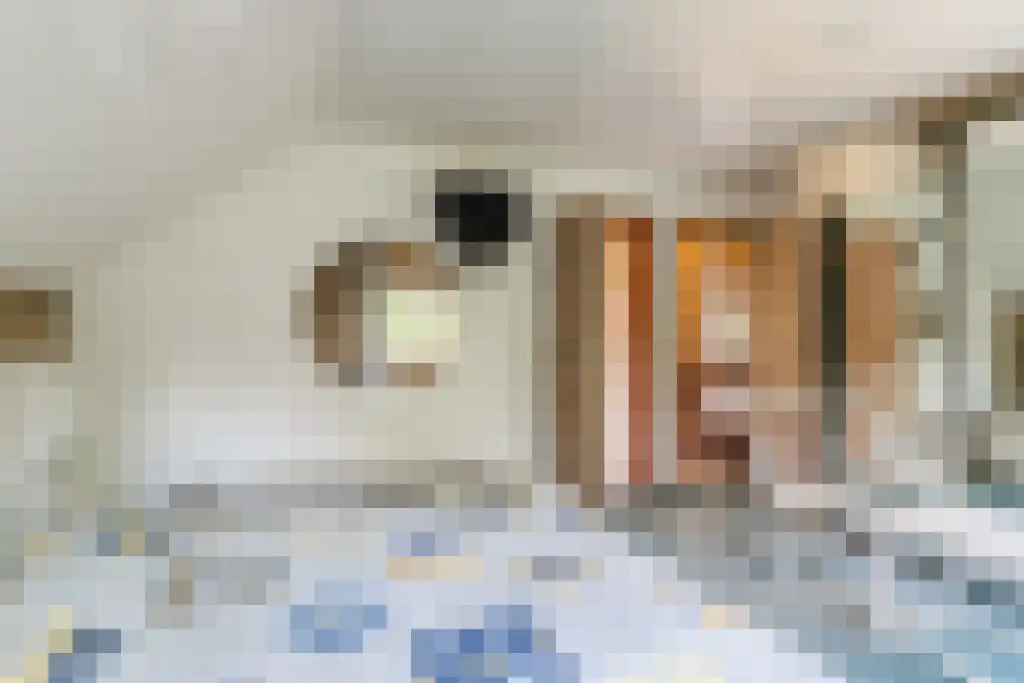 Schutstraat 5 Lithoijen thumbnail 27