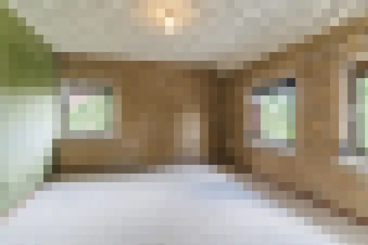 Schutstraat 5 Lithoijen thumbnail 32