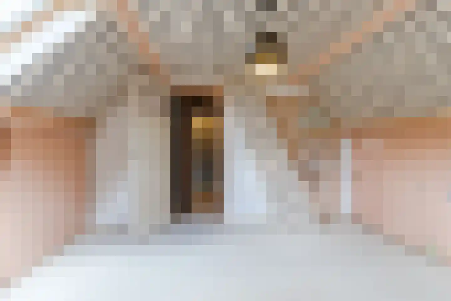 Schutstraat 5 Lithoijen thumbnail 37