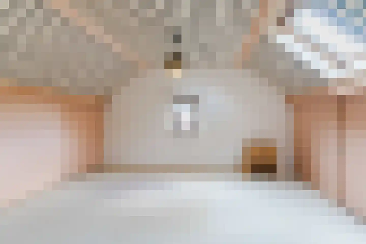 Schutstraat 5 Lithoijen thumbnail 39