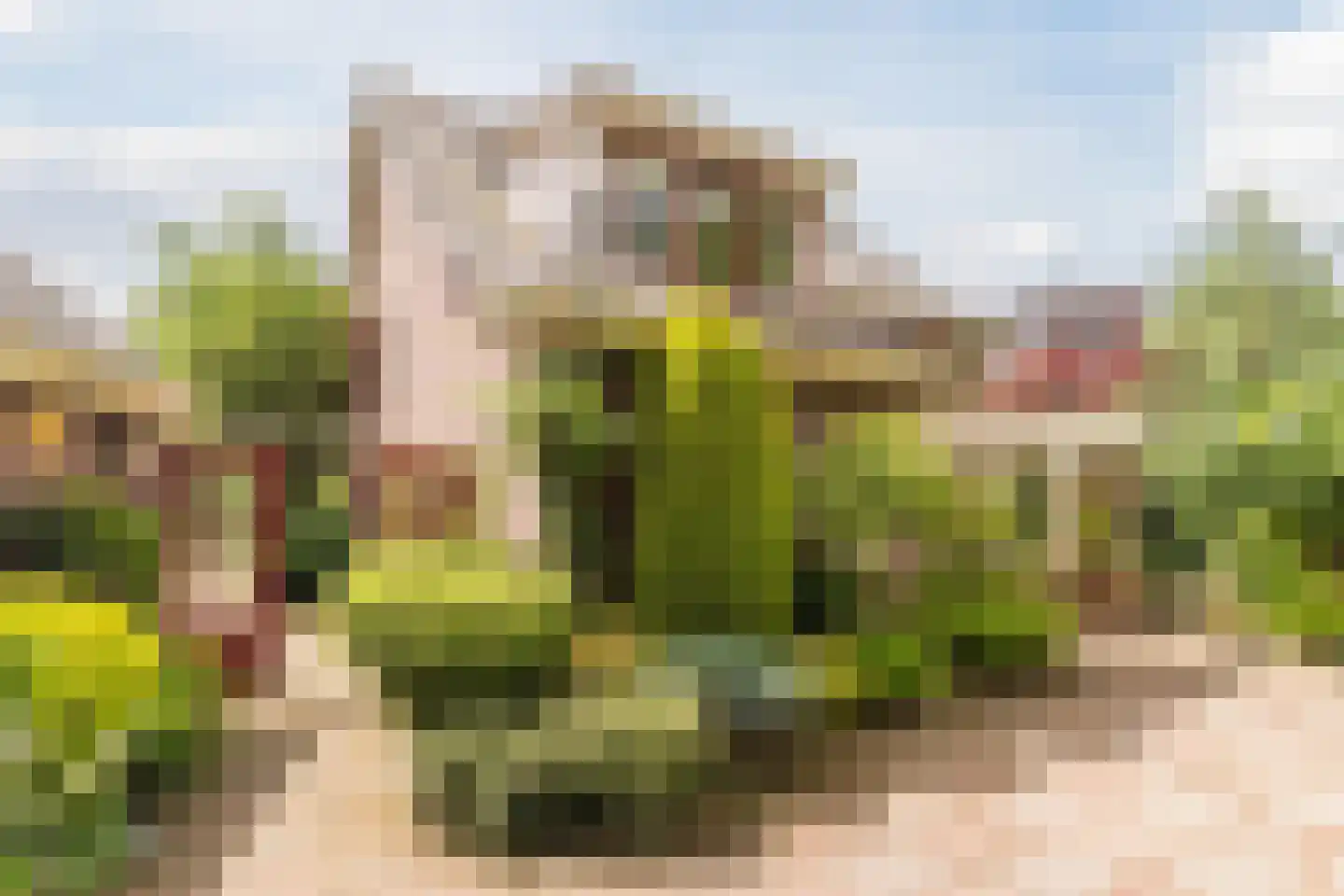 Schutstraat 5 Lithoijen thumbnail 40