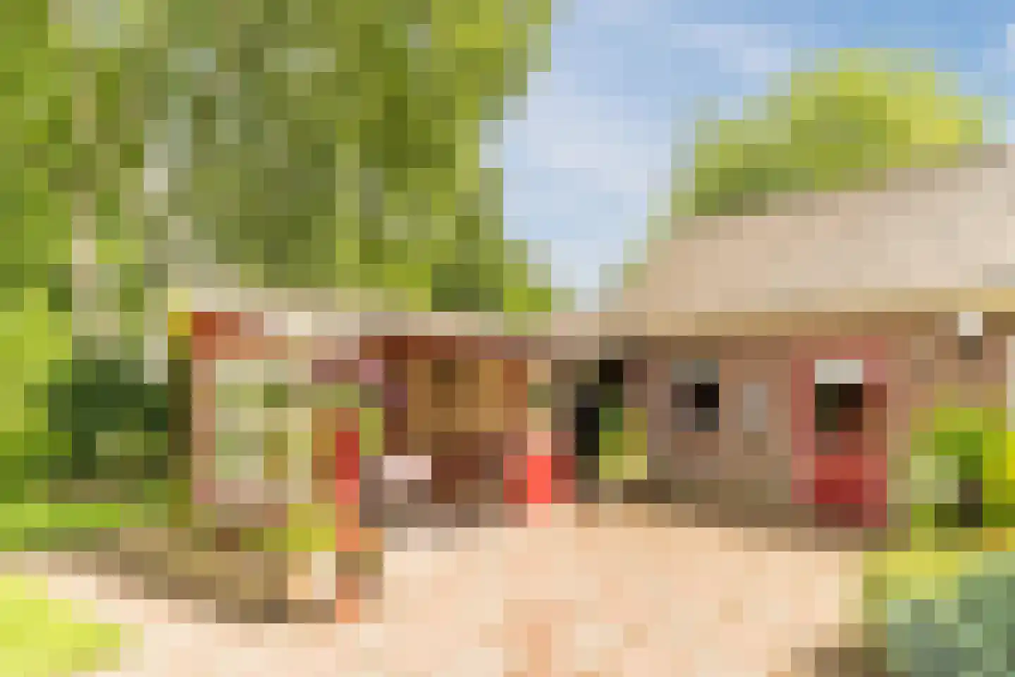 Schutstraat 5 Lithoijen thumbnail 42