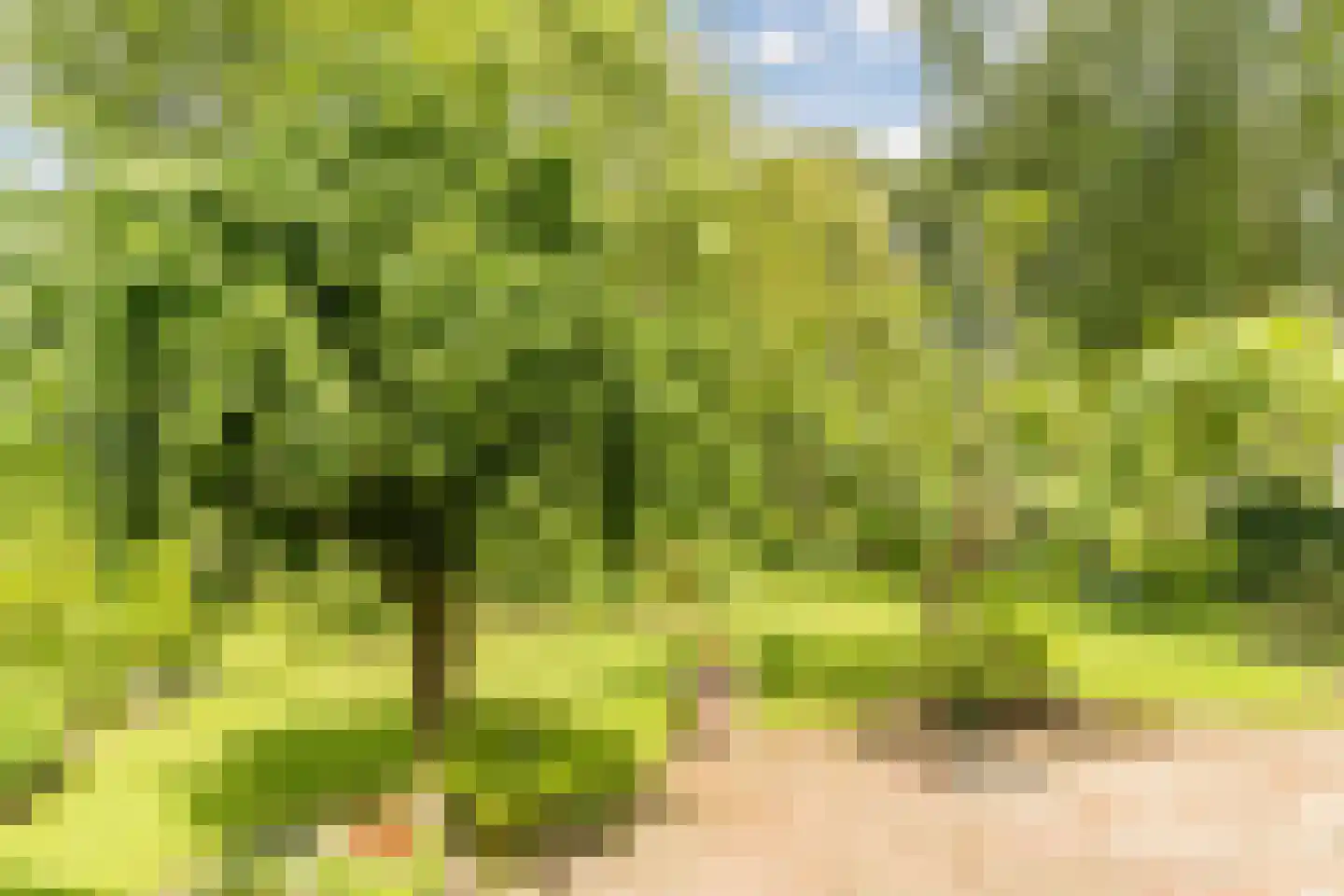 Schutstraat 5 Lithoijen thumbnail 45