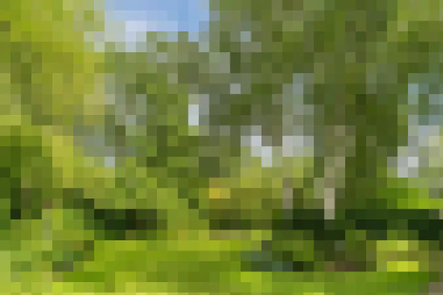 Schutstraat 5 Lithoijen thumbnail 46