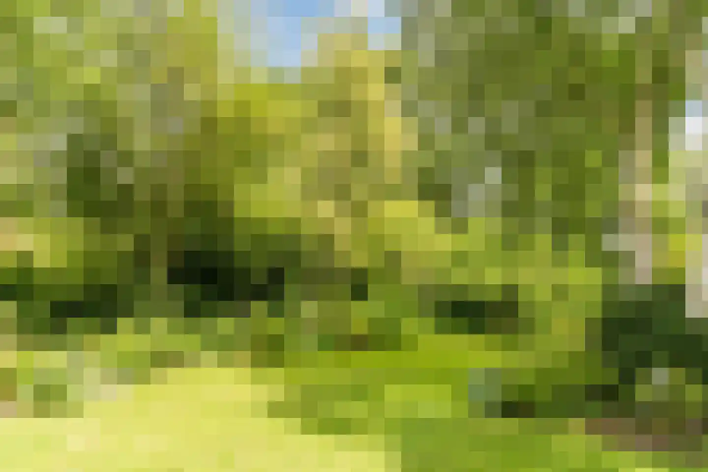 Schutstraat 5 Lithoijen thumbnail 47