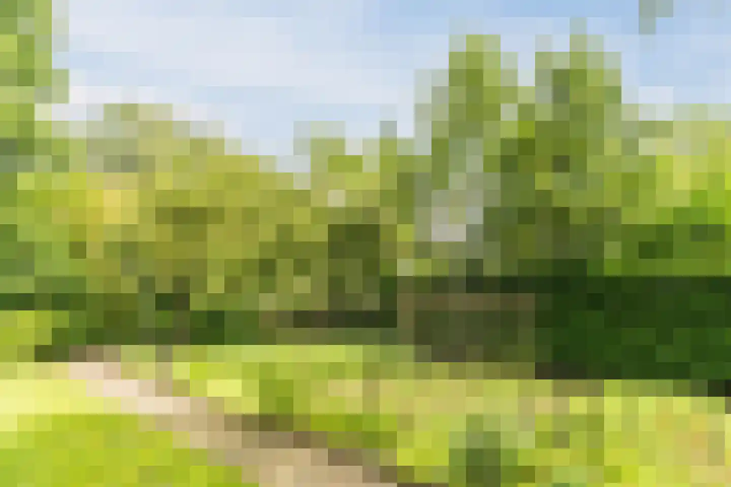 Schutstraat 5 Lithoijen thumbnail 48
