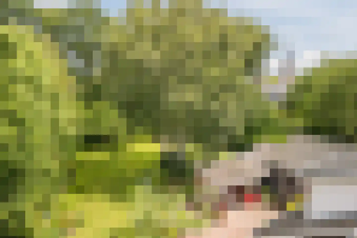 Schutstraat 5 Lithoijen thumbnail 49