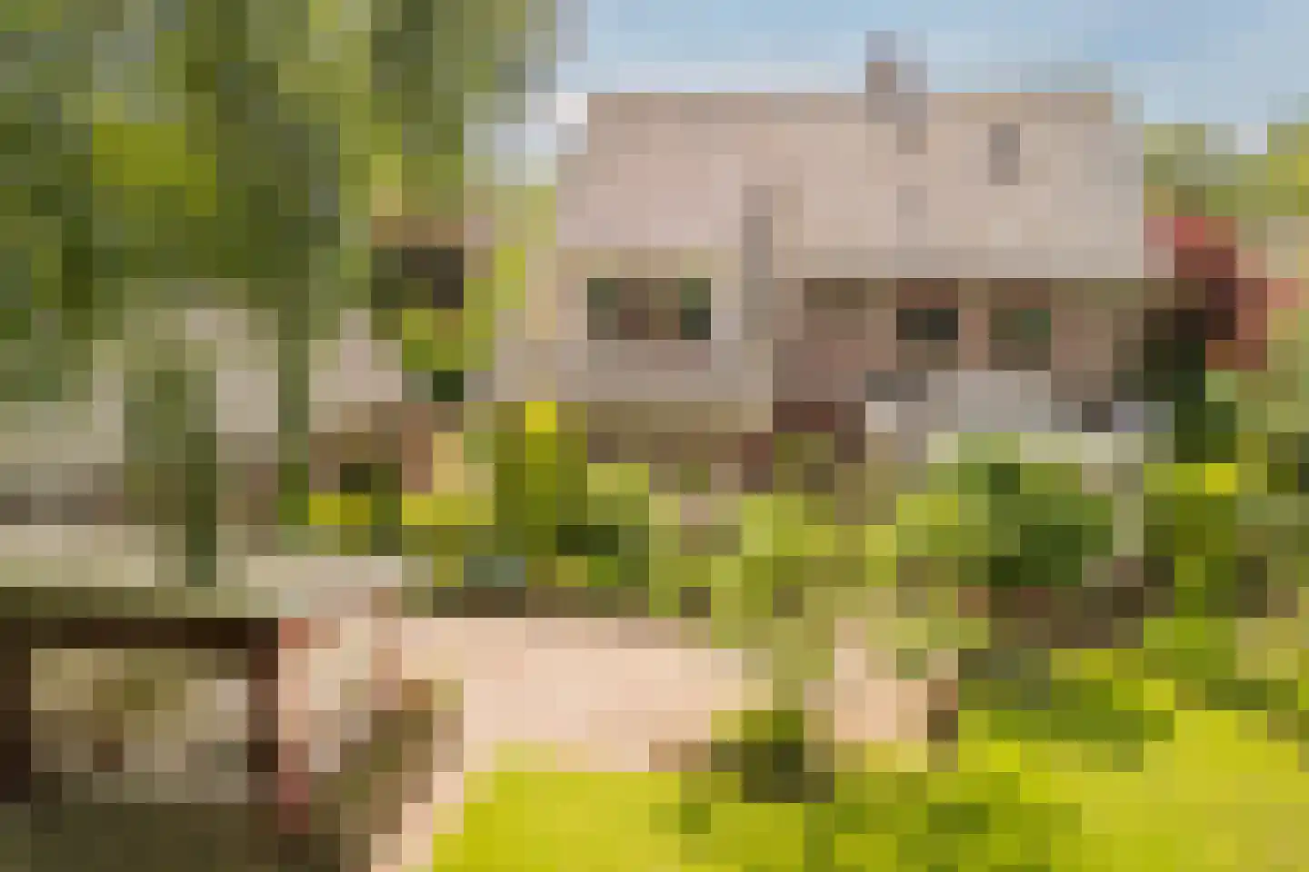 Schutstraat 5 Lithoijen thumbnail 50