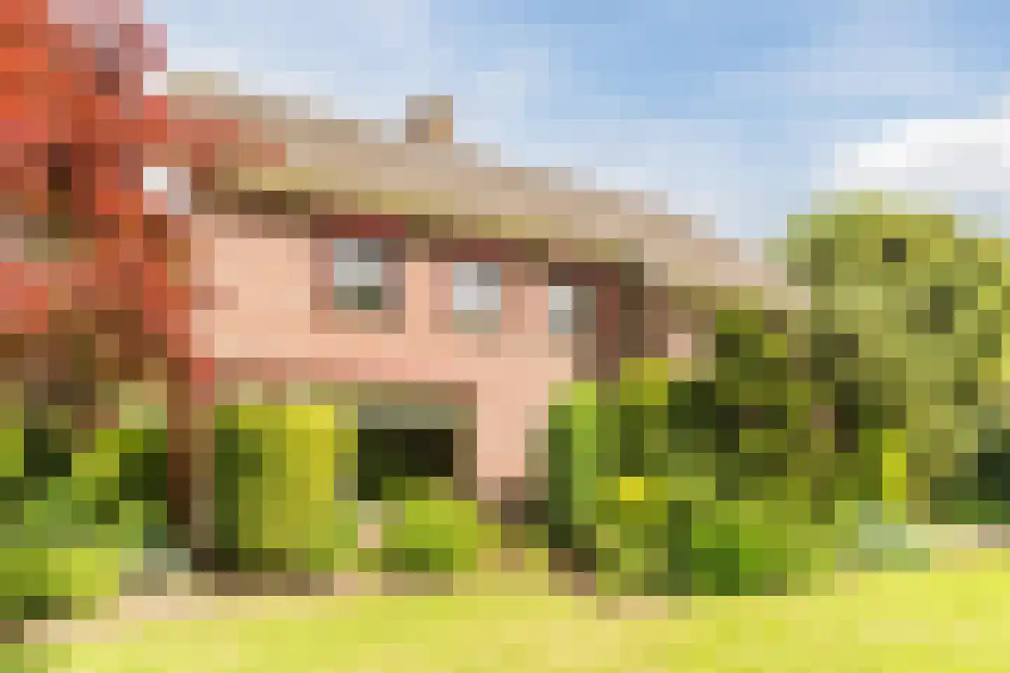 Schutstraat 5 Lithoijen thumbnail 54