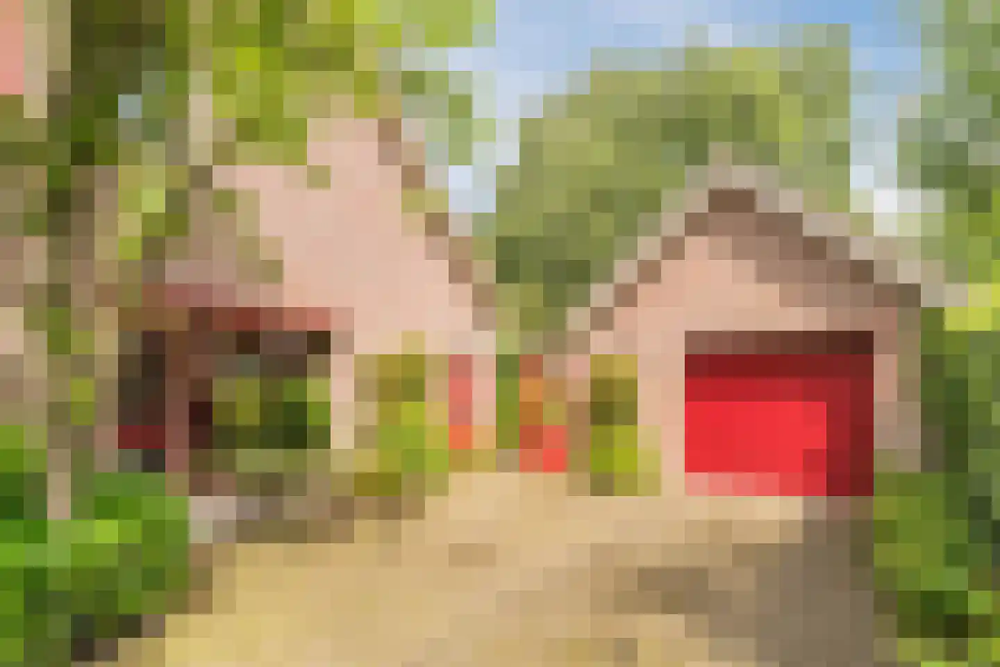 Schutstraat 5 Lithoijen thumbnail 55
