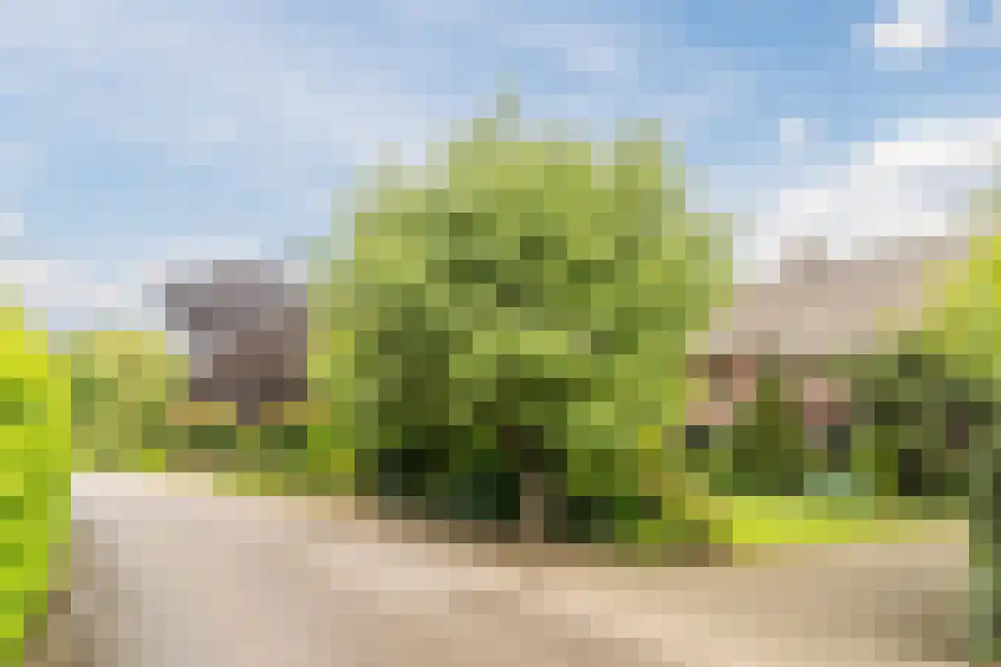 Schutstraat 5 Lithoijen thumbnail 56