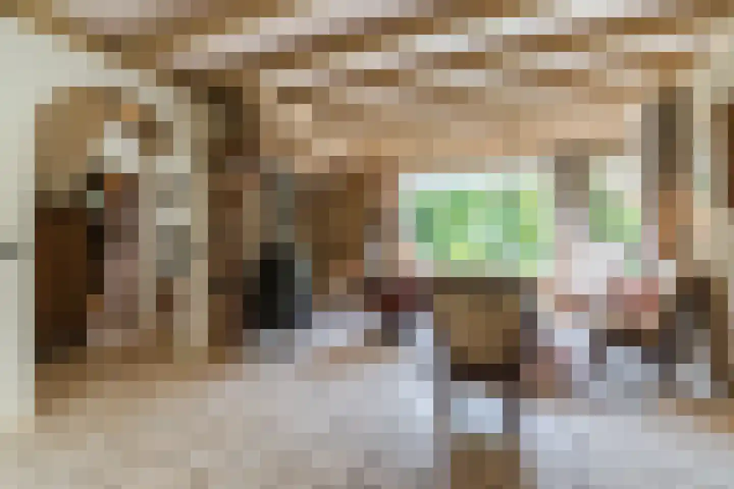 Schutstraat 5 Lithoijen thumbnail 8