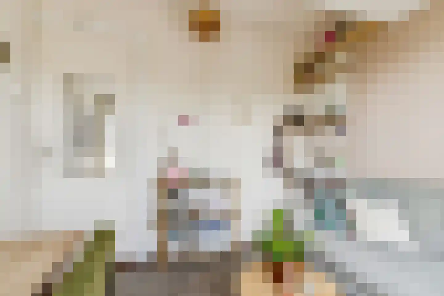 Schutstraat 64 Utrecht thumbnail 21