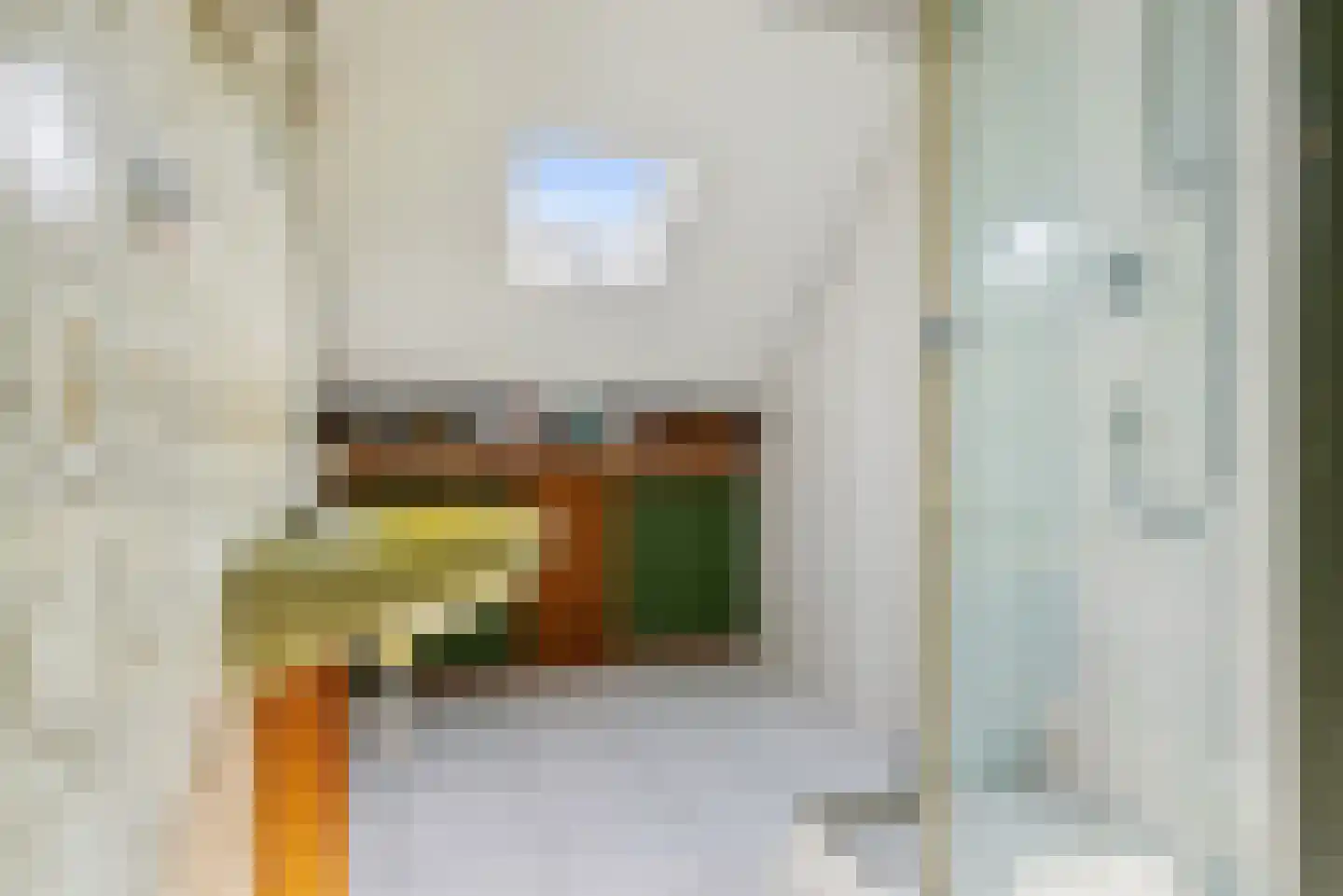 Schutstraat 64 Utrecht thumbnail 32