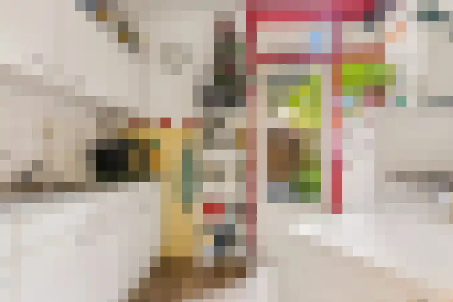 Schutstraat 66 Utrecht thumbnail 12