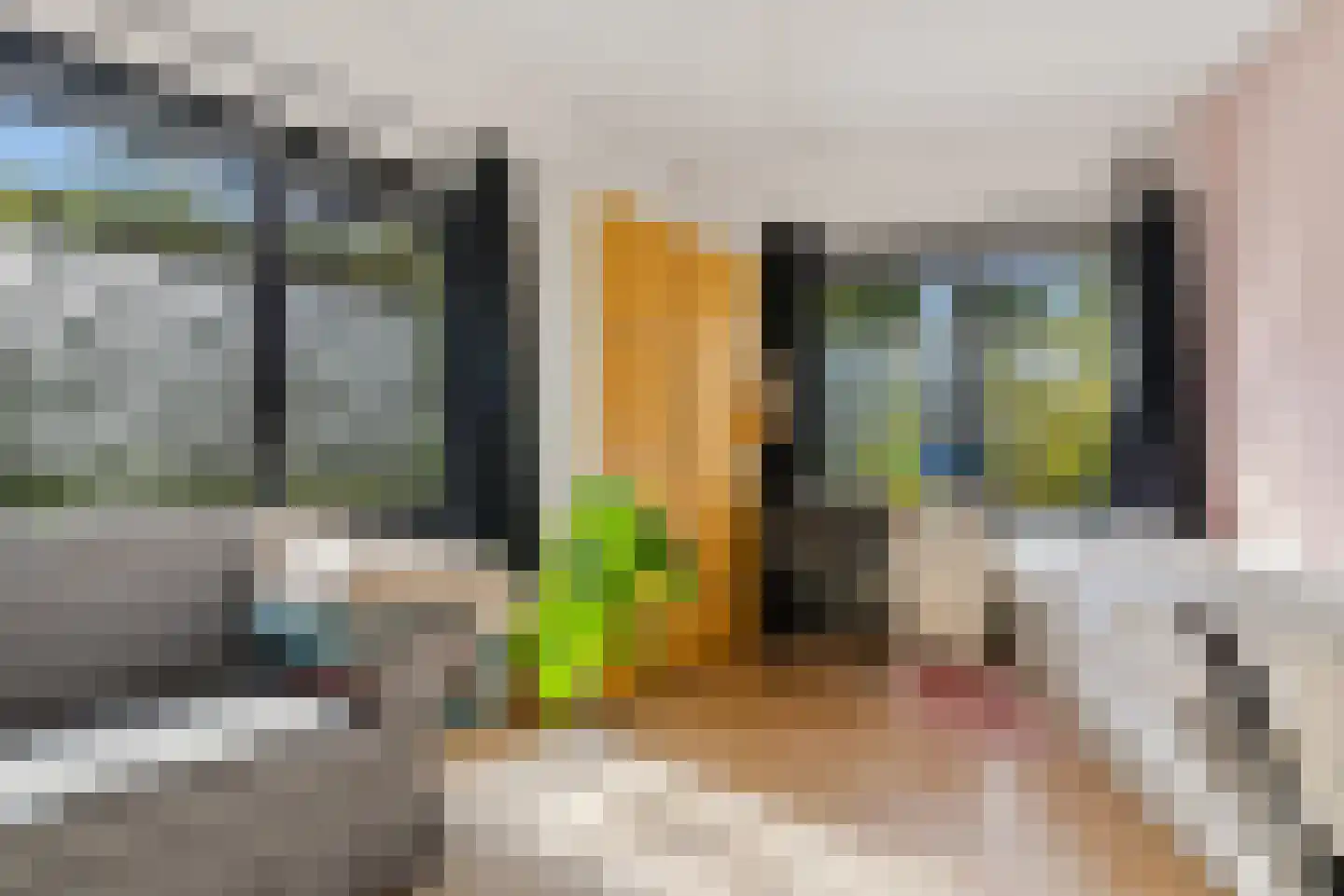Schutstraat 66 Utrecht thumbnail 18