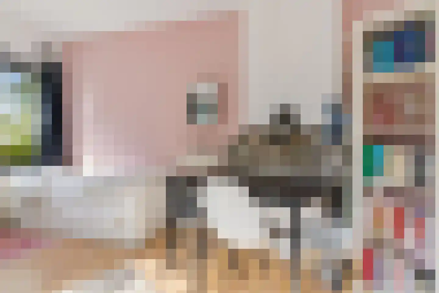 Schutstraat 66 Utrecht thumbnail 22