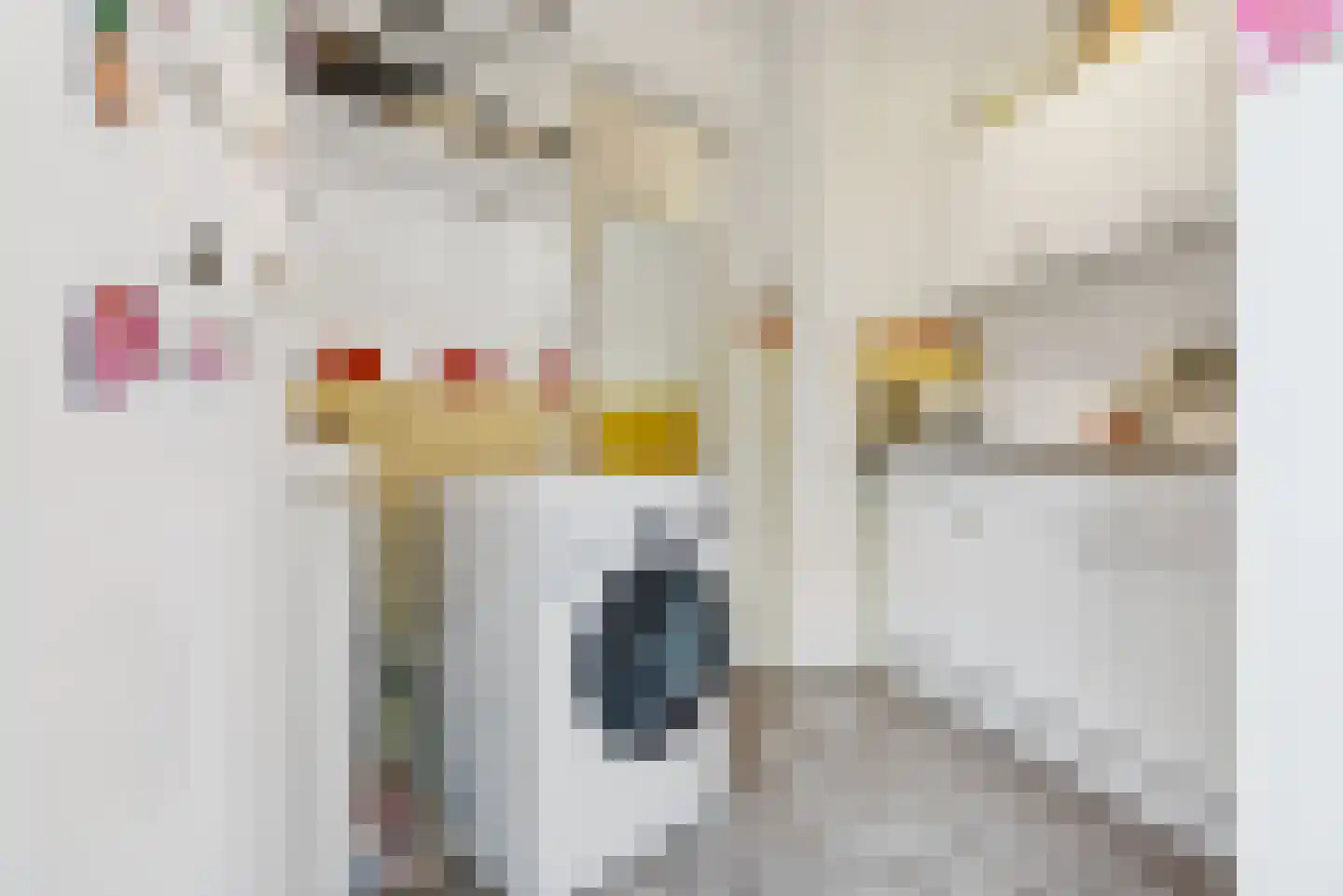 Schutstraat 66 Utrecht thumbnail 24
