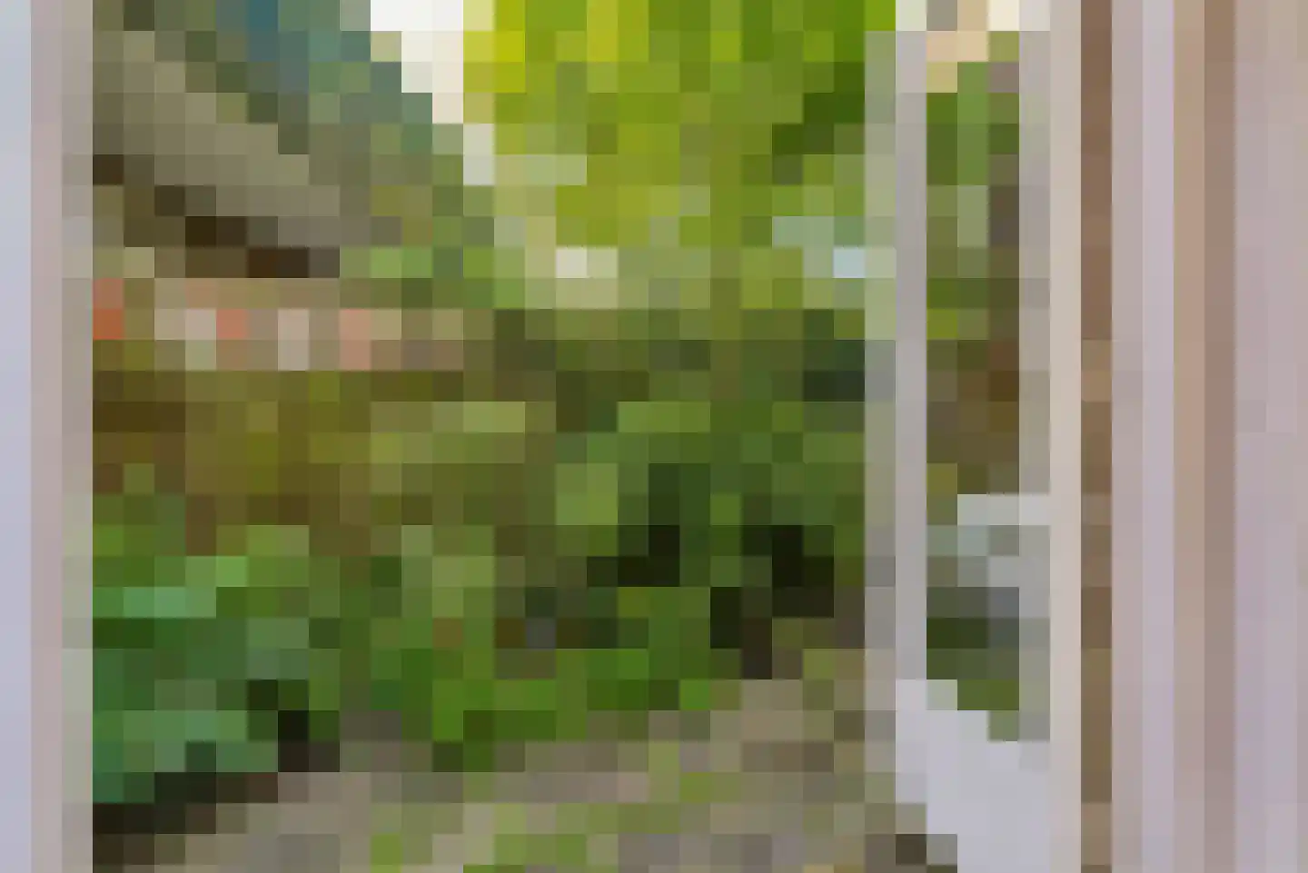 Schutstraat 66 Utrecht thumbnail 28